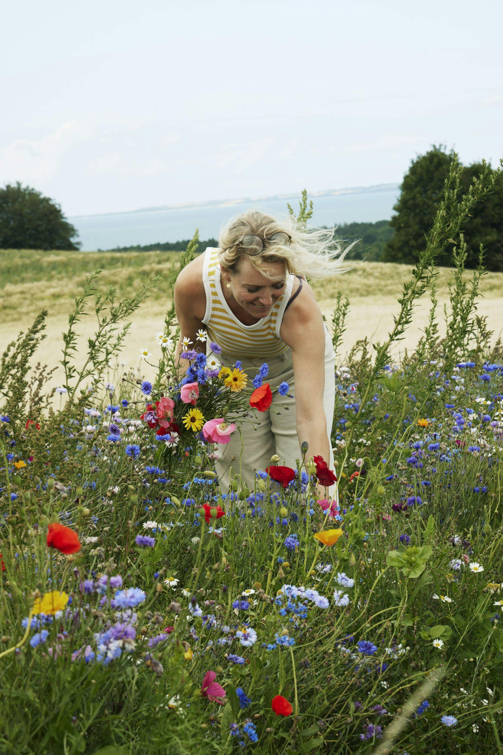 KallesSommerhus240639 Fargerike blomster